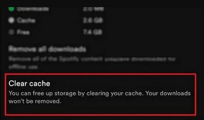 clear spotify cache