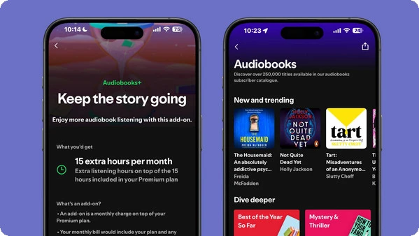 15 hours audiobooks for family maneger