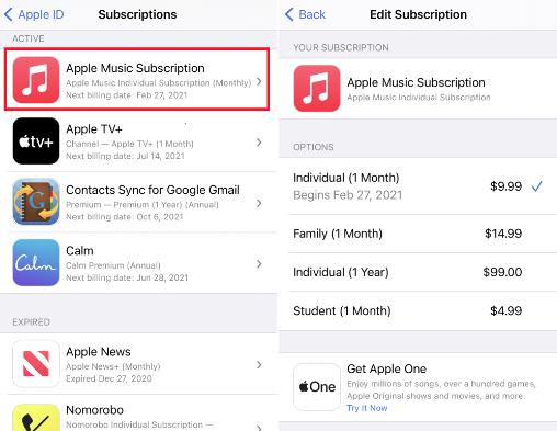 check apple music subscription
