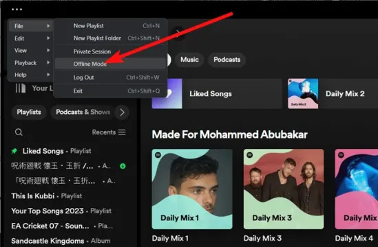 disable spotify offline mode