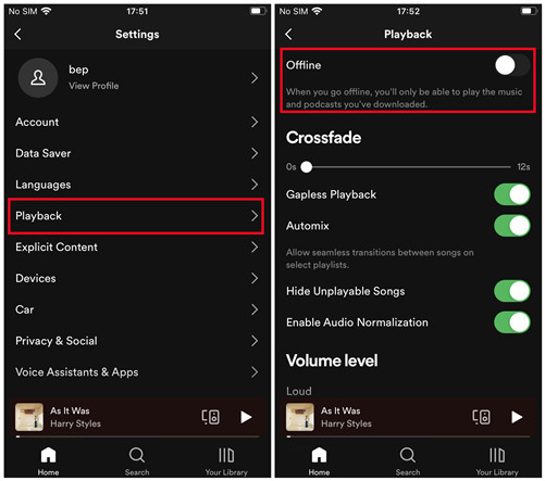 disable spotify offline mode
