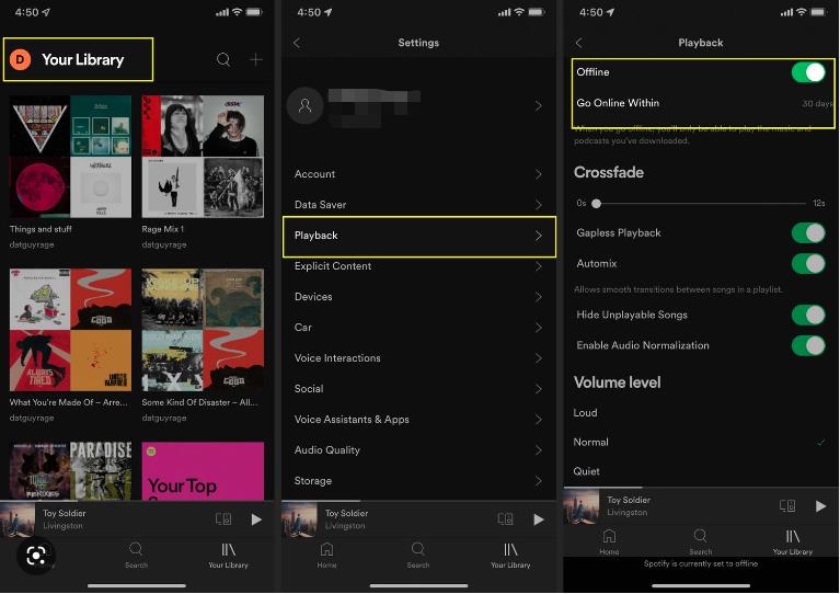 spotify library