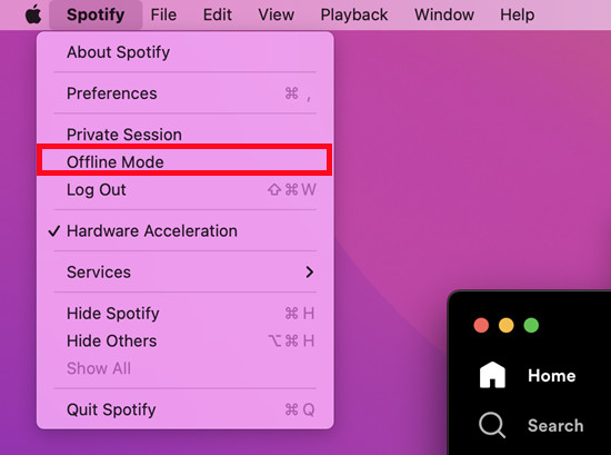 turn off spotify offline mode on windows