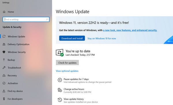 windows software update