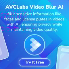 Blur Any Moving Objects in Video