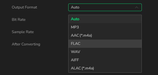 noteburner output formats