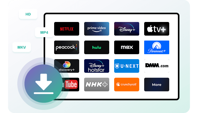 All-In-One Video Downloader