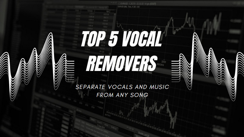 top 5 vocal removers